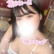 ヒメ日記 2026/01/21 05:06 投稿 ひより 三浦屋別館