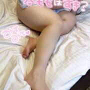 ヒメ日記 2026/02/05 07:16 投稿 ひより 三浦屋別館