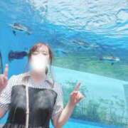 ヒメ日記 2025/08/21 15:59 投稿 達もね 鶯谷デッドボール