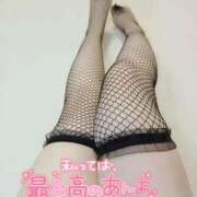 ヒメ日記 2025/09/02 03:49 投稿 達もね 鶯谷デッドボール