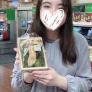 ヒメ日記 2025/10/17 13:13 投稿 達もね 鶯谷デッドボール