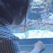 ヒメ日記 2025/12/03 18:29 投稿 達もね 鶯谷デッドボール