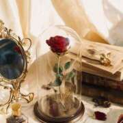 ヒメ日記 2025/12/27 00:53 投稿 萌々花(ももか) 人妻城 横浜本店