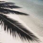 ヒメ日記 2026/02/10 17:34 投稿 萌々花(ももか) 人妻城 横浜本店