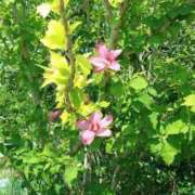 のの 出勤しました 人妻小旅行