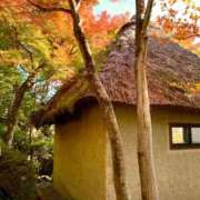 はるか 紅葉🍁🍁🍁 完熟ばなな新宿