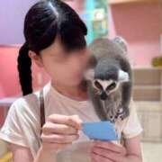 ヒメ日記 2025/09/11 19:09 投稿 スイ ロボットデリヘル日本橋基地