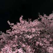 ヒメ日記 2026/03/20 16:41 投稿 茉白(ましろ) 伊勢崎回春性感SPA