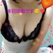 ヒメ日記 2025/10/19 09:54 投稿 みなみ 新橋夜這右衛門娼店～夜這・即尺・痴漢・人妻～