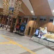 ヒメ日記 2026/06/13 22:52 投稿 おと ラブ・アンド・ラブ