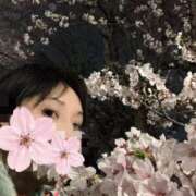 つくし 連日のお花見。 熟女家 京橋店