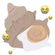 ヒメ日記 2026/02/06 13:13 投稿 しろ 横浜Cute