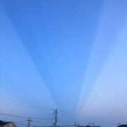 めい ごめんなさい 三浦屋別館