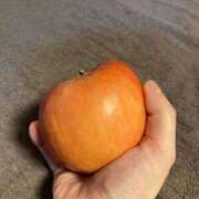 ヒメ日記 2026/02/02 17:16 投稿 あずき 三浦屋別館