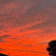 ヒメ日記 2025/10/12 17:46 投稿 くれは 取手人妻快速