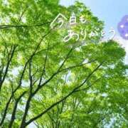 ヒメ日記 2026/06/23 16:02 投稿 くれは 取手人妻快速