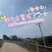 ヒメ日記 2026/07/31 13:02 投稿 くれは 取手人妻快速