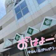ヒメ日記 2026/09/19 11:02 投稿 くれは 取手人妻快速