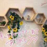 ヒメ日記 2026/09/23 16:31 投稿 くれは 取手人妻快速