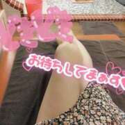 ヒメ日記 2025/09/11 02:16 投稿 ゆめ 三浦屋別館