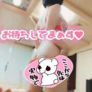 ヒメ日記 2025/10/08 09:17 投稿 ゆめ 三浦屋別館