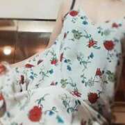 ヒメ日記 2025/10/26 09:16 投稿 ゆめ 三浦屋別館