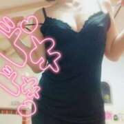 ヒメ日記 2025/11/05 05:56 投稿 ゆめ 三浦屋別館