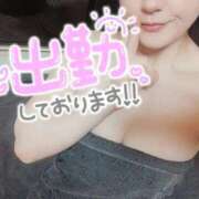 ヒメ日記 2025/11/12 09:17 投稿 ゆめ 三浦屋別館