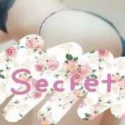 ヒメ日記 2025/11/24 07:16 投稿 ゆめ 三浦屋別館