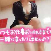 ヒメ日記 2025/12/20 09:16 投稿 ゆめ 三浦屋別館