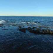 ヒメ日記 2025/12/24 03:46 投稿 ゆめ 三浦屋別館