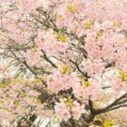 ヒメ日記 2026/02/17 07:56 投稿 ゆめ 三浦屋別館