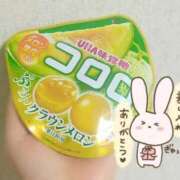 ヒメ日記 2026/03/13 05:56 投稿 ゆめ 三浦屋別館