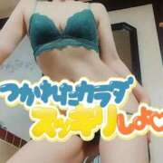 ヒメ日記 2026/04/11 09:19 投稿 ゆめ 三浦屋別館