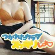 ヒメ日記 2026/05/07 09:16 投稿 ゆめ 三浦屋別館
