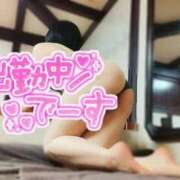 ヒメ日記 2026/06/04 09:09 投稿 ゆめ 三浦屋別館