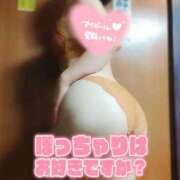 ヒメ日記 2026/08/12 09:21 投稿 ゆめ 三浦屋別館