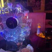 ヒメ日記 2025/09/01 18:18 投稿 かりん みつばちマーヤZ