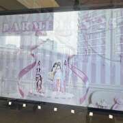 ヒメ日記 2025/10/28 01:28 投稿 かりん みつばちマーヤZ