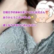 ヒメ日記 2025/10/16 15:53 投稿 すみれ ナチュラルプリンセス