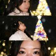 ヒメ日記 2025/12/19 15:26 投稿 のの 三浦屋別館