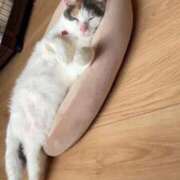 ヒメ日記 2026/03/02 09:56 投稿 るみ☆S級スレンダー美女 AQUA（辻）