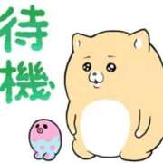 ヒメ日記 2026/03/23 12:24 投稿 ちむ 熟女の風俗最終章 沼津店