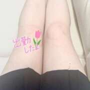 ヒメ日記 2025/12/07 11:20 投稿 小坂　めぐる NADIA大阪店