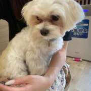 ヒメ日記 2026/01/26 10:16 投稿 野口まりん【激カワカフェ店員】 Club Rosa