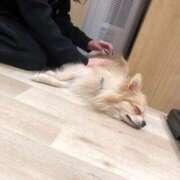 ヒメ日記 2026/02/12 00:56 投稿 野口まりん【激カワカフェ店員】 Club Rosa