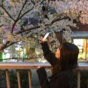 ヒメ日記 2026/03/11 13:51 投稿 野口まりん【激カワカフェ店員】 Club Rosa