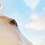 ヒメ日記 2025/10/03 19:56 投稿 ひかる 三浦屋別館