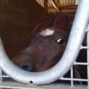 ヒメ日記 2025/10/13 21:36 投稿 ひかる 三浦屋別館