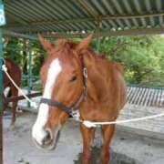 ヒメ日記 2025/12/28 03:26 投稿 ひかる 三浦屋別館